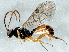  ( - BIOUG06623-D07)  @13 [ ] CreativeCommons - Attribution (2014) CBG Photography Group Centre for Biodiversity Genomics