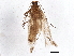  ( - BIOUG06469-B08)  @12 [ ] CreativeCommons - Attribution (2013) CBG Photography Group Centre for Biodiversity Genomics