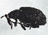  ( - BIOUG06864-B09)  @13 [ ] CreativeCommons - Attribution (2014) CBG Photography Group Centre for Biodiversity Genomics