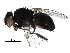  ( - BIOUG12882-F04)  @11 [ ] CreativeCommons - Attribution (2017) CBG Photography Group Centre for Biodiversity Genomics