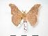  ( - PD-BC 146)  @13 [ ] Copyright (2010) Unspecified Research Collection of Philippe Darge