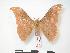  ( - PD-BC 147)  @13 [ ] Copyright (2010) Unspecified Research Collection of Philippe Darge