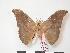  ( - PD-BC 154)  @13 [ ] Copyright (2010) Unspecified Research Collection of Philippe Darge