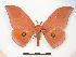  ( - PD-BC 016)  @14 [ ] Copyright (2010) Unspecified Research Collection of Philippe Darge