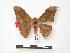  ( - PD-BC 181)  @13 [ ] Copyright (2010) Unspecified Research Collection of Philippe Darge