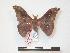  ( - PD-BC 215)  @13 [ ] Copyright (2010) Unspecified Research Collection of Philippe Darge