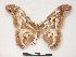  ( - PD-BC 369)  @13 [ ] Copyright (2010) Unspecified Research Collection of Philippe Darge