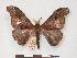 ( - PD-BC 043)  @13 [ ] Copyright (2010) Unspecified Research Collection of Philippe Darge