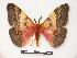  ( - PD-BC 081)  @14 [ ] Copyright (2010) Unspecified Research Collection of Philippe Darge