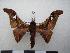  ( - PD-BC 1169)  @13 [ ] Copyright (2010) Unspecified Research Collection of Philippe Darge