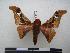  ( - PD-BC 1172)  @13 [ ] Copyright (2010) Unspecified Research Collection of Philippe Darge