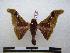  ( - PD-BC 1188)  @13 [ ] Copyright (2010) Unspecified Research Collection of Philippe Darge