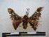  ( - PD-BC 1211)  @13 [ ] Copyright (2010) Unspecified Research Collection of Philippe Darge