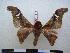  ( - PD-BC 1213)  @13 [ ] Copyright (2010) Unspecified Research Collection of Philippe Darge