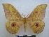  ( - PD-BC-1624)  @13 [ ] Copyright (2010) Unspecified Research Collection of Philippe Darge