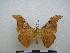  ( - PD-BC-1715)  @14 [ ] Copyright (2010) Unspecified Research Collection of Philippe Darge