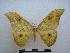  ( - PD-BC-1664)  @14 [ ] Copyright (2010) Unspecified Research Collection of Philippe Darge