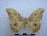  ( - PD-BC-1683)  @13 [ ] Copyright (2010) Unspecified Research Collection of Philippe Darge