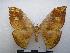  ( - PD-BC-1797)  @14 [ ] Copyright (2010) Unspecified Research Collection of Philippe Darge