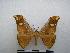  ( - PD-BC-1799)  @13 [ ] Copyright (2010) Unspecified Research Collection of Philippe Darge