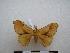  ( - PD-BC-1821)  @14 [ ] Copyright (2010) Unspecified Research Collection of Philippe Darge