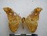  ( - PD-BC-1785)  @13 [ ] Copyright (2010) Unspecified Research Collection of Philippe Darge
