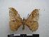  ( - PD-BC-1845)  @13 [ ] Copyright (2010) Unspecified Research Collection of Philippe Darge