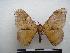  ( - PD-BC-1847)  @13 [ ] Copyright (2010) Unspecified Research Collection of Philippe Darge