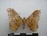  ( - PD-BC-1849)  @13 [ ] Copyright (2010) Unspecified Research Collection of Philippe Darge