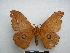  ( - PD-BC-1910)  @13 [ ] Copyright (2010) Unspecified Research Collection of Philippe Darge