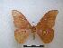  ( - PD-BC-1955)  @13 [ ] Copyright (2010) Unspecified Research Collection of Philippe Darge
