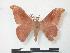  ( - PD-BC 944)  @14 [ ] Copyright (2010) Unspecified Research Collection of Philippe Darge