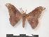  ( - PD-BC 958)  @13 [ ] Copyright (2010) Unspecified Research Collection of Philippe Darge