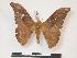  ( - PD-BC 965)  @13 [ ] Copyright (2010) Unspecified Research Collection of Philippe Darge
