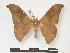  ( - PD-BC 992)  @14 [ ] Copyright (2010) Unspecified Research Collection of Philippe Darge