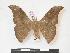  ( - PD-BC 993)  @14 [ ] Copyright (2010) Unspecified Research Collection of Philippe Darge