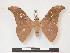  ( - PD-BC 998)  @14 [ ] Copyright (2010) Unspecified Research Collection of Philippe Darge
