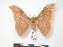  ( - PD-BC 147.1)  @11 [ ] Copyright (2010) Unspecified Research Collection of Philippe Darge