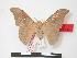 ( - PD-BC 148.1)  @13 [ ] Copyright (2010) Unspecified Research Collection of Philippe Darge