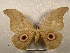  ( - PD-BC 2193)  @11 [ ] Copyright (2010) Unspecified Research Collection of Philippe Darge