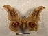  ( - PD-BC 2200)  @14 [ ] Copyright (2010) Unspecified Research Collection of Philippe Darge