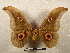  ( - PD-BC 2203)  @11 [ ] Copyright (2010) Unspecified Research Collection of Philippe Darge
