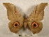  ( - PD-BC 2223)  @14 [ ] Copyright (2010) Unspecified Research Collection of Philippe Darge