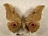  ( - PD-BC 2225)  @14 [ ] Copyright (2010) Unspecified Research Collection of Philippe Darge