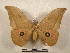 ( - PD-BC 2247)  @11 [ ] Copyright (2010) Unspecified Research Collection of Philippe Darge