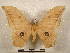  ( - PD-BC 2248)  @11 [ ] Copyright (2010) Unspecified Research Collection of Philippe Darge
