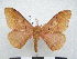  ( - PD-BC 2736)  @14 [ ] Copyright (2010) Unspecified Research Collection of Philippe Darge