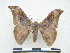  ( - PD-BC 2773)  @14 [ ] Copyright (2010) Unspecified Research Collection of Philippe Darge
