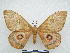  ( - PD-BC 2789)  @14 [ ] Copyright (2010) Unspecified Research Collection of Philippe Darge