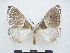  ( - PD-BC 2810)  @12 [ ] Copyright (2010) Unspecified Research Collection of Philippe Darge
